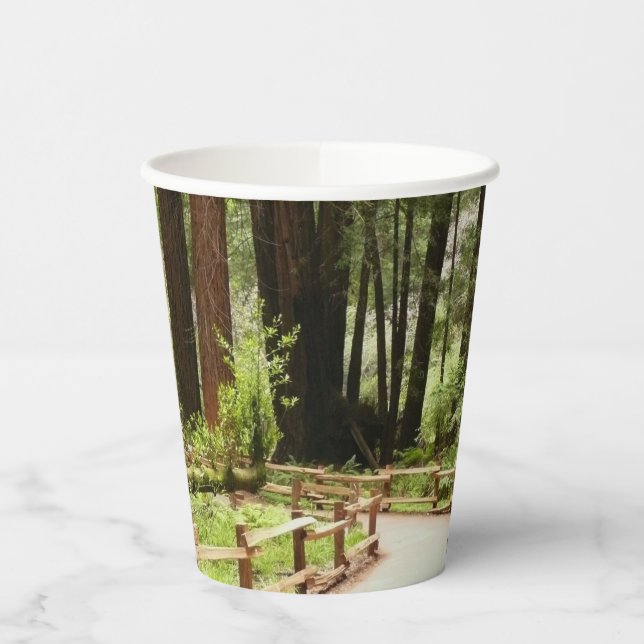 Muir Woods Path I Nature Photography Paper Cups (Left)