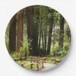 Muir Woods Path I Nature Photography Paper Plates