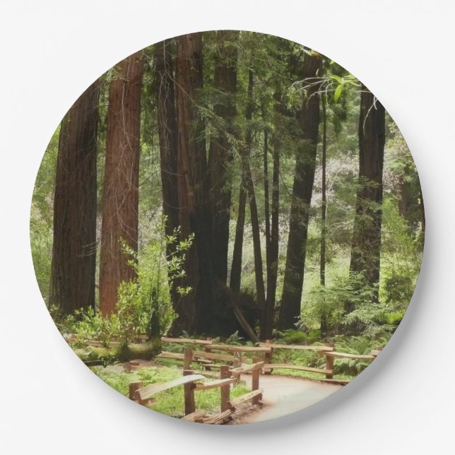 Muir Woods Path I Nature Photography Paper Plates (Front)