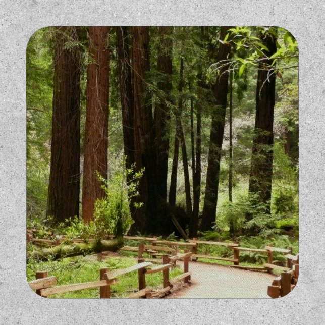 Muir Woods Path I Nature Photography Patch (Front)