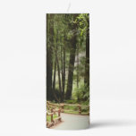 Muir Woods Path I Nature Photography Pillar Candle