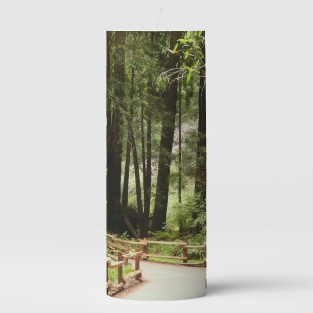Muir Woods Path I Nature Photography Pillar Candle (Front)