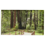 Muir Woods Path I Nature Photography Place Card Holder