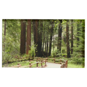 Muir Woods Path I Nature Photography Place Card Holder