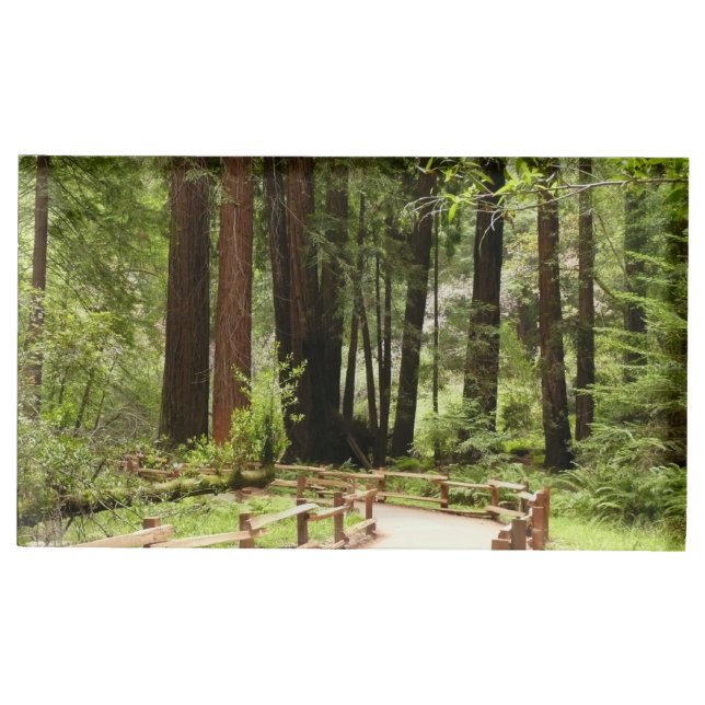 Muir Woods Path I Nature Photography Place Card Holder (Front)