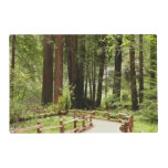 Muir Woods Path I Nature Photography Placemat