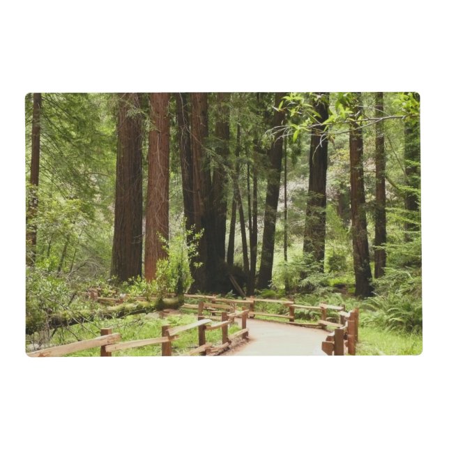 Muir Woods Path I Nature Photography Placemat (Front)