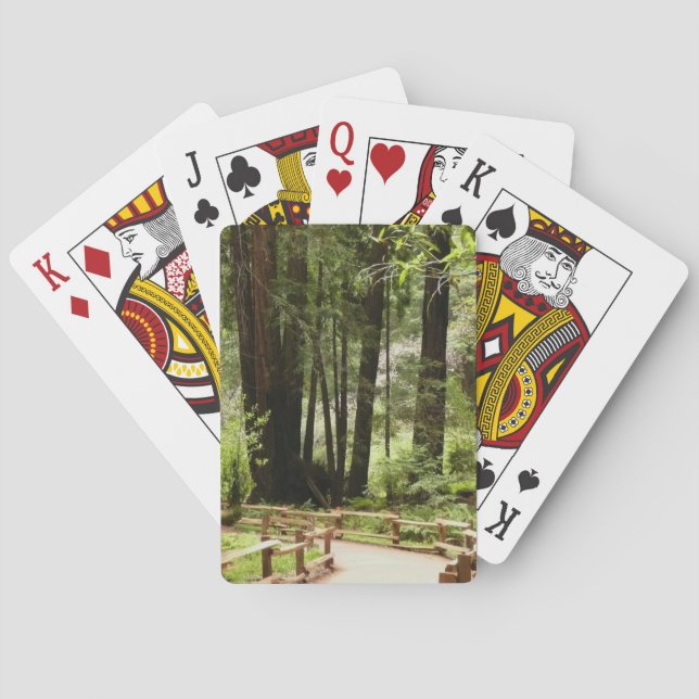 Muir Woods Path I Nature Photography Poker Cards (Back)