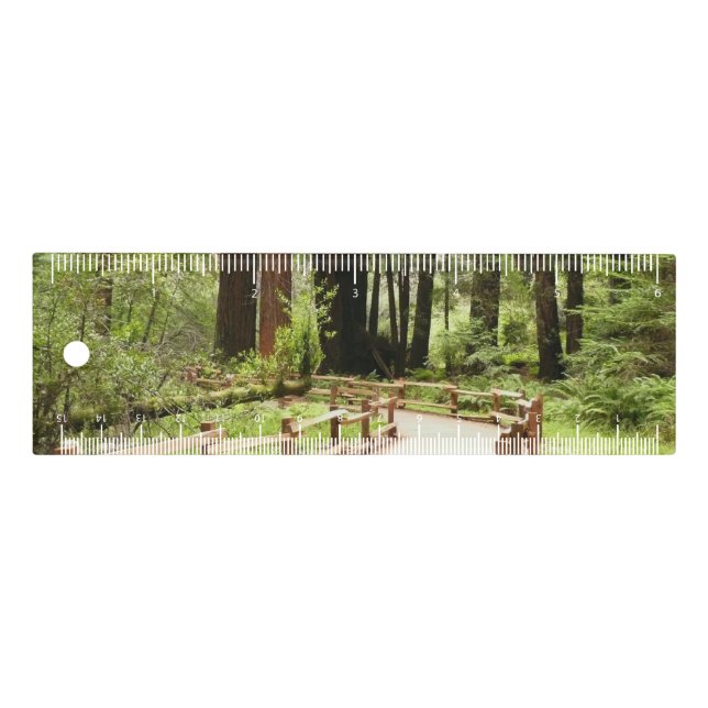 Muir Woods Path I Nature Photography Ruler (Front)