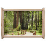 Muir Woods Path I Nature Photography Serving Tray