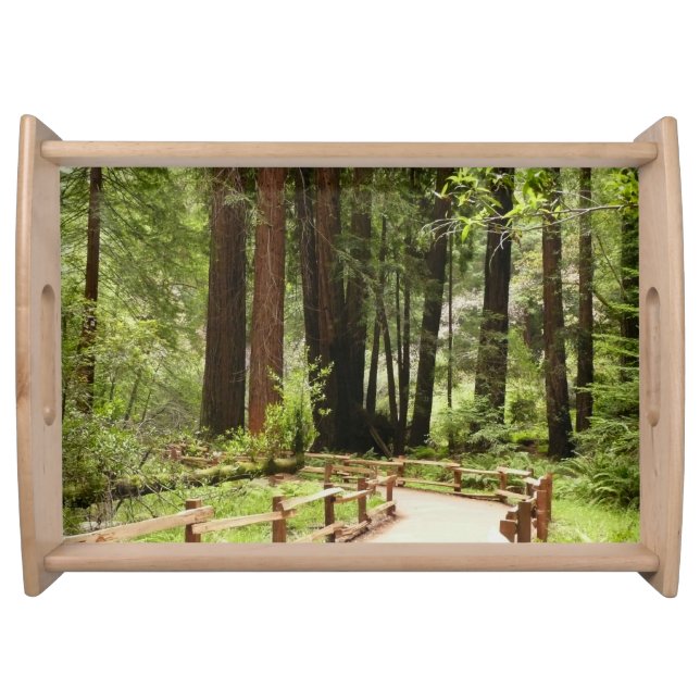 Muir Woods Path I Nature Photography Serving Tray (Front)