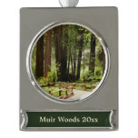 Muir Woods Path I Nature Photography Silver Plated Banner Ornament