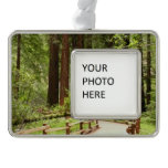 Muir Woods Path I Nature Photography Silver Plated Framed Ornament