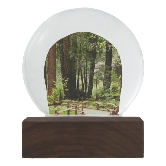 Muir Woods Path I Nature Photography Snow Globe (Front)
