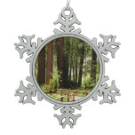 Muir Woods Path I Nature Photography Snowflake Pewter Christmas Ornament