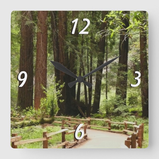 Muir Woods Path I Nature Photography Square Wall Clock (Front)