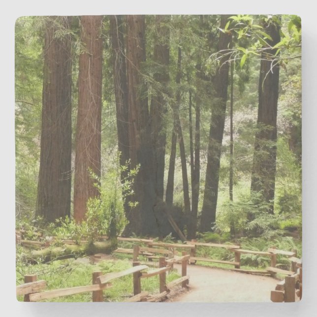 Muir Woods Path I Nature Photography Stone Coaster (Front)