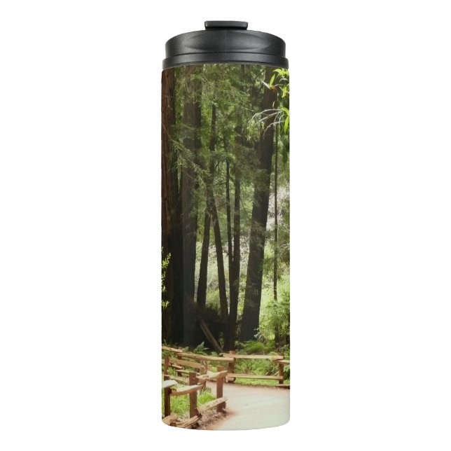 Muir Woods Path I Nature Photography Thermal Tumbler (Front)