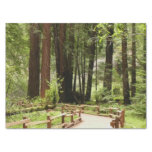 Muir Woods Path I Nature Photography Tissue Paper