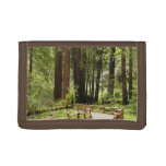 Muir Woods Path I Nature Photography Trifold Wallet