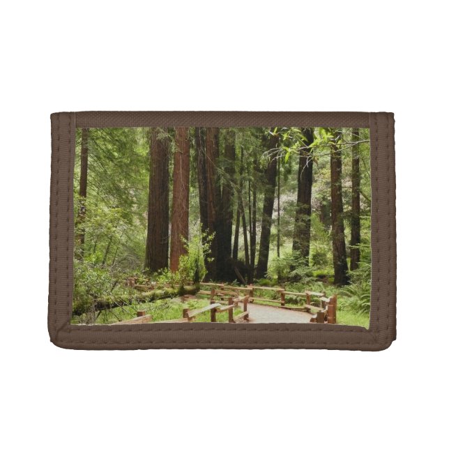 Muir Woods Path I Nature Photography Trifold Wallet (Front)