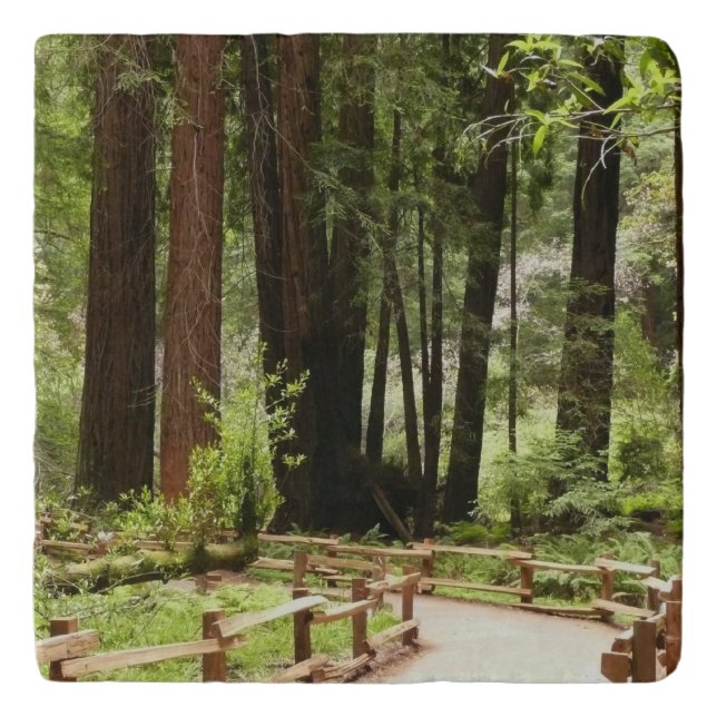 Muir Woods Path I Nature Photography Trivet (Front)