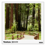 Muir Woods Path I Nature Photography Wall Sticker