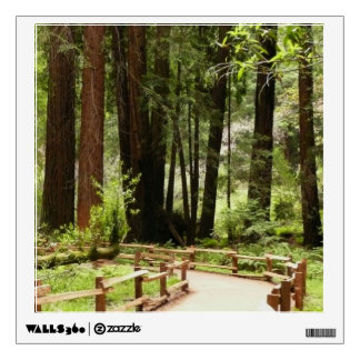 Muir Woods Path I Nature Photography Wall Sticker