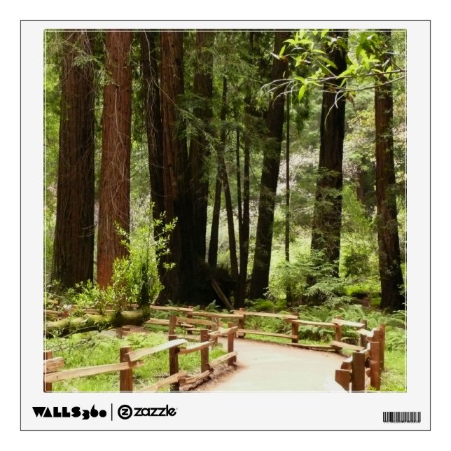 Muir Woods Path I Nature Photography Wall Sticker (Front)