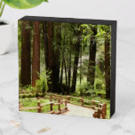 Muir Woods Path I Nature Photography Wooden Box Sign