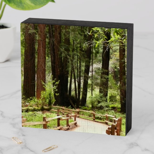Muir Woods Path I Nature Photography Wooden Box Sign (In Situ Horizontal)
