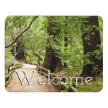 Muir Woods Path II Door Sign