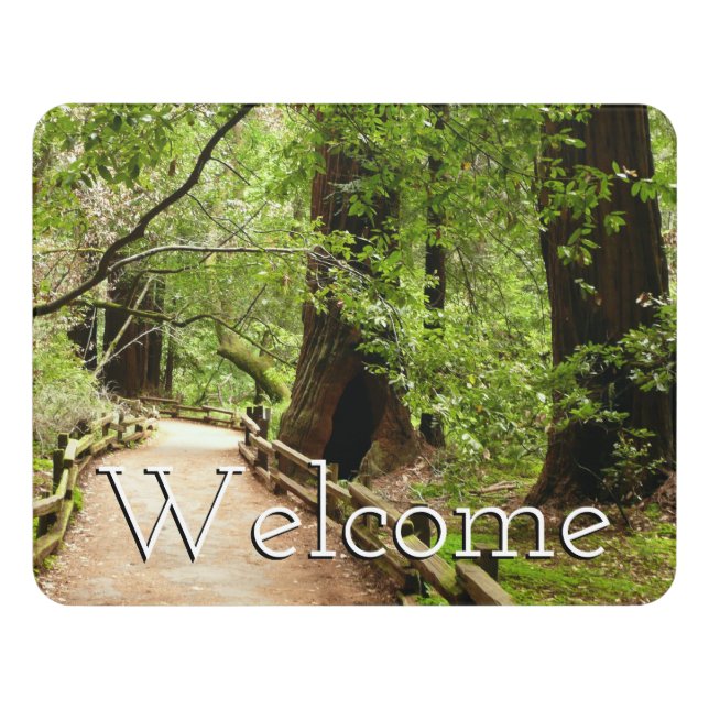 Muir Woods Path II Door Sign (Contemporary Front)