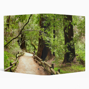 Muir Woods Path II Nature Photography 3 Ring Binder