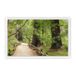 Muir Woods Path II Nature Photography Acrylic Tray