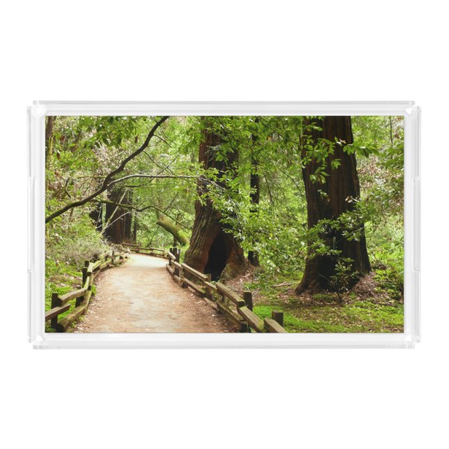 Muir Woods Path II Nature Photography Acrylic Tray (Front)