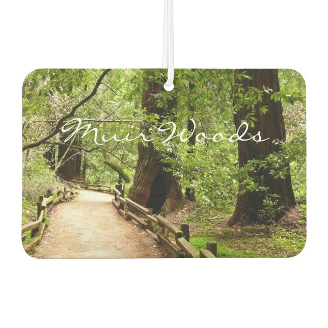 Muir Woods Path II Nature Photography Air Freshener (Front)