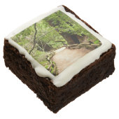 Muir Woods Path II Nature Photography Brownie (Angled)