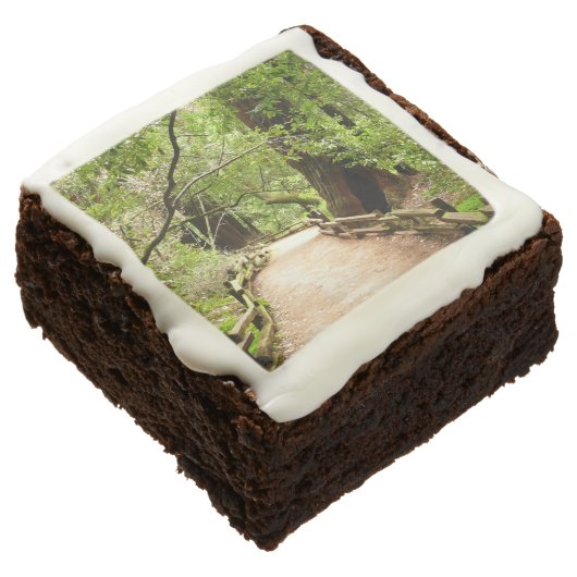 Muir Woods Path II Nature Photography Brownie (Angled)