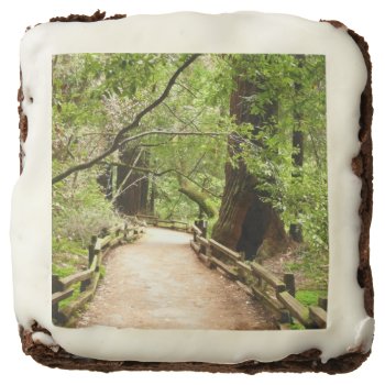 Muir Woods Path Ii Nature Photography Brownie by mlewallpapers at Zazzle