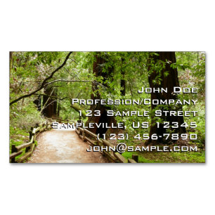 Muir Woods Path II Nature Photography Business Card Magnet
