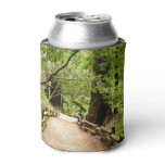 Muir Woods Path II Nature Photography Can Cooler