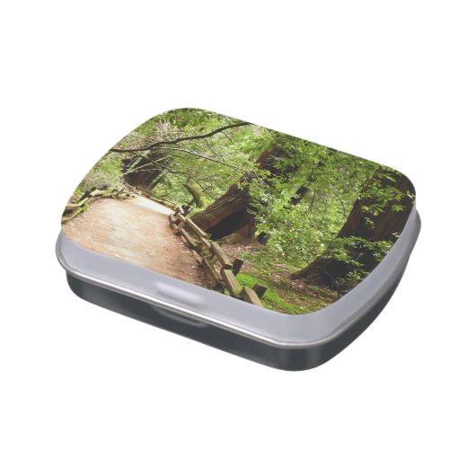 Muir Woods Path II Nature Photography Candy Tin (Side)