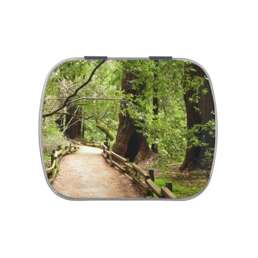 Muir Woods Path II Nature Photography Candy Tin (Top)