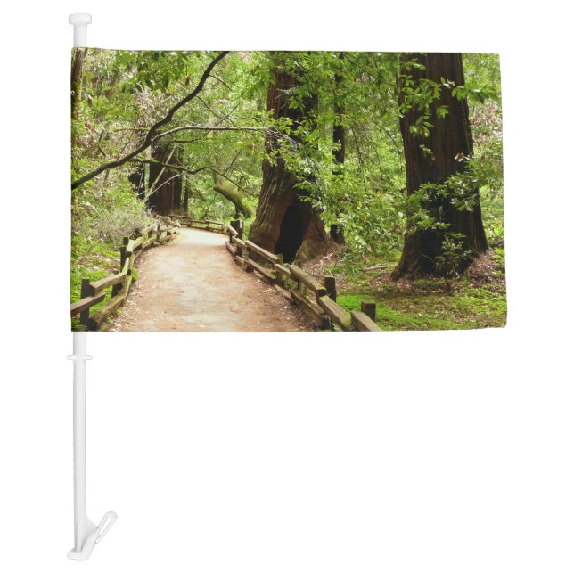 Muir Woods Path II Nature Photography Car Flag (Front)