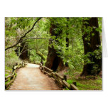 Muir Woods Path II Nature Photography Card
