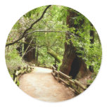 Muir Woods Path II Nature Photography Classic Round Sticker