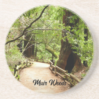 Muir Woods Path II Nature Photography Coaster