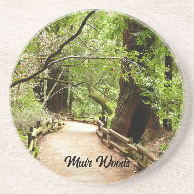 Muir Woods Path II Nature Photography Coaster (Front)
