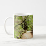Muir Woods Path II Nature Photography Coffee Mug